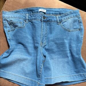 Bleu Denim Shorts